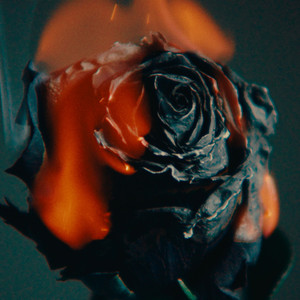 娥罗斯女人操逼了大黄片
