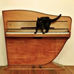 娥罗斯女人操逼了大黄片
